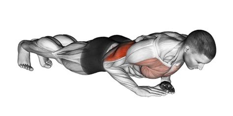 How To Diamond Push Ups For Beginners (CORRECT FORM).